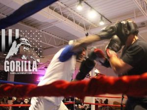 Call For Fighters In-House EXHIBITION Bouts IV Feb. 10th 2017